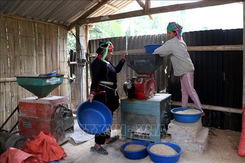 Xuân về Thài Khao