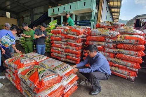 Xử lý nghiêm các cơ sở, doanh nghiệp vi phạm pháp luật