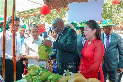 Đại biểu Liên minh Nghị viện Pháp ngữ hào hứng tham quan mô hình nông nghiệp xanh ở Cần Thơ