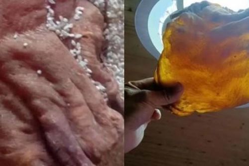 Dọn thùng gạo phát hiện kho báu gia truyền trị giá tương đương 1 căn nhà