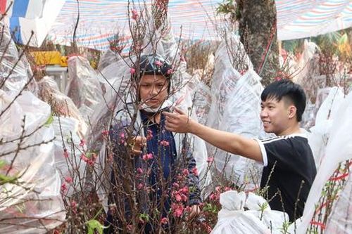 TPHCM: Hoa Tết về nhiều, đang đợi khách mua
