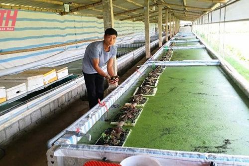 Nâng cao hiệu quả khởi nghiệp trong đoàn viên thanh niên