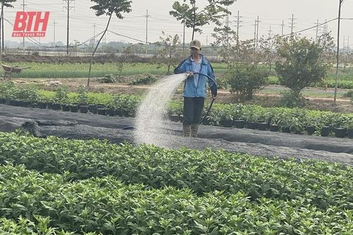 Đảm bảo nguồn nước tưới cho sản xuất chiêm xuân