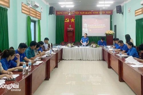 Khắp nơi trong tỉnh chiều 22-1-2025