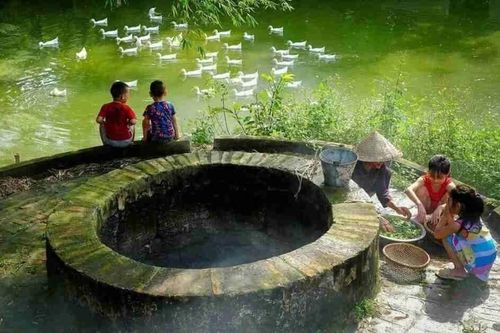 Thơ Nguyễn Ngọc Hạnh: Giếng xưa
