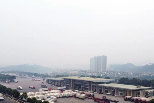 Nhộn nhịp hoạt động xuất - nhập khẩu
