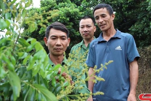 Đổi thay ở các xã vùng cao, biên giới