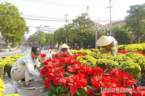 Thành phố Tuyên Quang chỉnh trang đô thị mừng Đảng, mừng Xuân