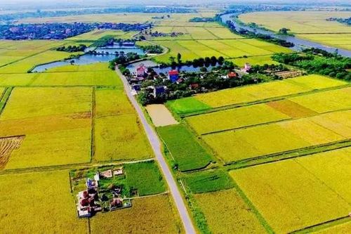 Đất 50 năm chuyển sang đất thổ cư như thế nào?