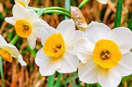 Có đứa trẻ nghèo không biết Tết...
