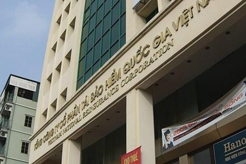 Vinare (VNR) báo lãi 465 tỷ đồng trong năm 2024, doanh thu tăng trưởng 17,8%
