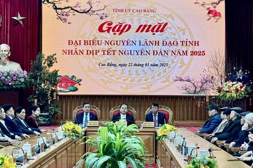 Tỉnh ủy gặp mặt nguyên lãnh đạo tỉnh nhân dịp Tết Nguyên đán Ất Tỵ 2025