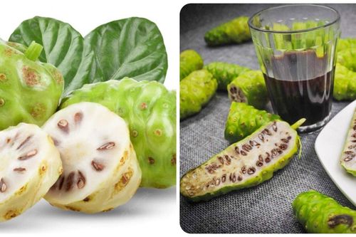 4 lợi ích tuyệt vời của quả nhàu với sức khỏe