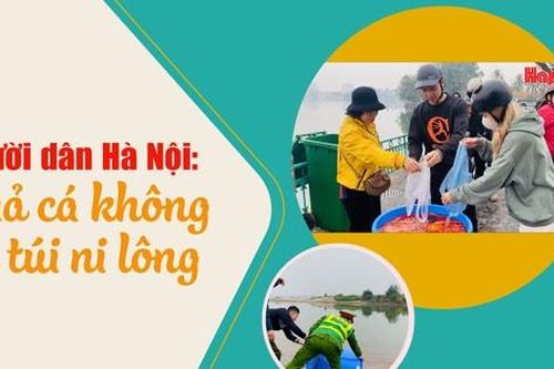Người dân Hà Nội: Thả cá không xả túi ni lông