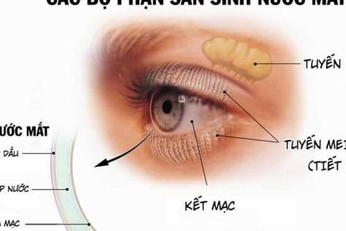Cách nào phòng ngừa khô mắt?