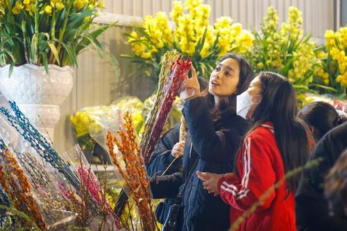 Chuyên gia chỉ rõ những lưu ý khi chọn mua hoa chơi Tết