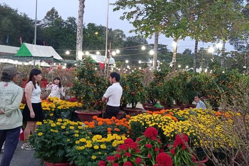 Đồng Nai: phố hoa lung linh về đêm, giá hoa giảm nhẹ