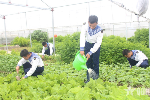 Bộ đội hậu cần làm theo lời Bác Hồ dạy: Chuyện tăng gia của những người lính đảo