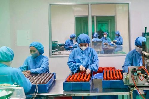 Vào chuỗi để mở rộng thị trường lao động, tối ưu hóa giá trị gia tăng