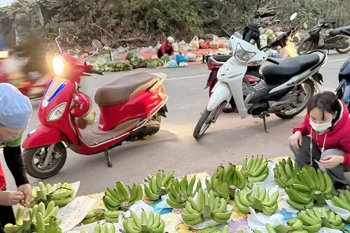 Miền Bắc: 500.000 đồng/nải chuối - đắt chưa từng thấy