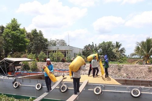 Tăng sức cạnh tranh cho nông sản Việt - Bài 4: Giải pháp phải đồng bộ, quyết liệt
