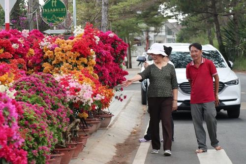 Hoa tết rộn ràng xuống phố Đà Lạt