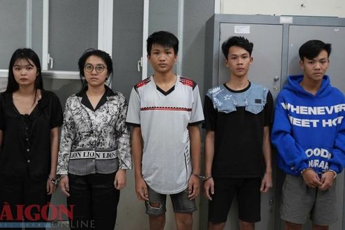 Lên mạng rao bán gấu Baby Three để lừa đảo