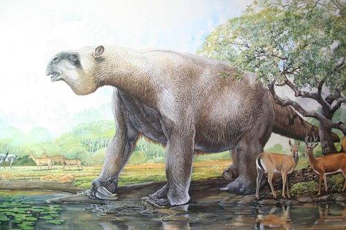 Khó tin loài lười khổng lồ thời tiền sử, bơi cực giỏi