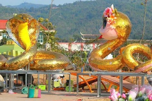 'Trình làng' đôi rắn ngộ nghĩnh ở thị trấn biên giới Việt - Lào tại Quảng Trị