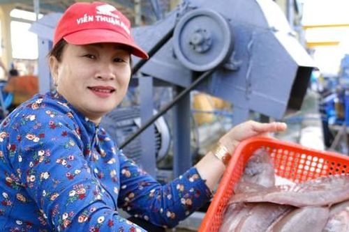 Ngư dân miền Trung bội thu chuyến biển cuối năm