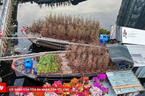 Nhộn nhịp chợ hoa 'Trên bến dưới thuyền' trước ngày khai mạc