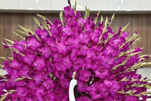 Cách chọn và cắm hoa ngày Tết vừa đẹp vừa giữ được lâu