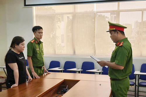 Người phụ nữ ở TPHCM bị bắt vì đổ trực tiếp ra môi trường 7.800 tấn tro, xỉ nhôm