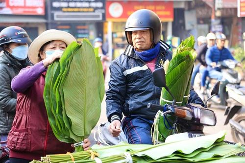 Thủ phủ bán lá dong tại Hà Nội tấp nập trong những ngày cận Tết