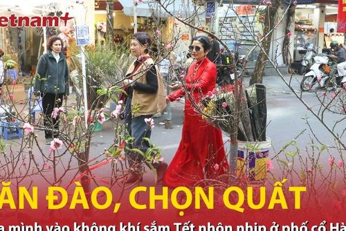 Hòa mình vào không khí sắm Tết nhộn nhịp của người dân tại phố cổ Hà Nội