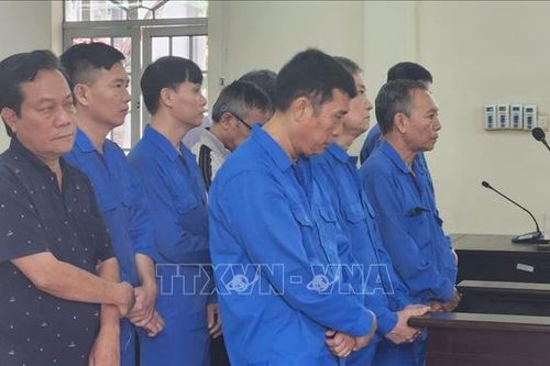 Tuyên án 14 bị cáo lừa đảo, chiếm đoạt tiền của nhà nước
