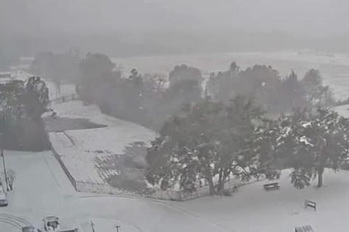 Bão tuyết 'bất thường' tấn công Florida, phá vỡ kỷ lục lượng tuyết rơi