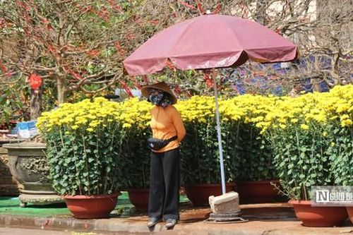 Đắk Lắk: Thị trường hoa Tết trầm lắng, tiểu thương như 'ngồi trên đống lửa'