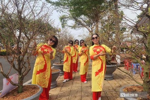 'Check-in' chợ hoa Xuân Bình Phước