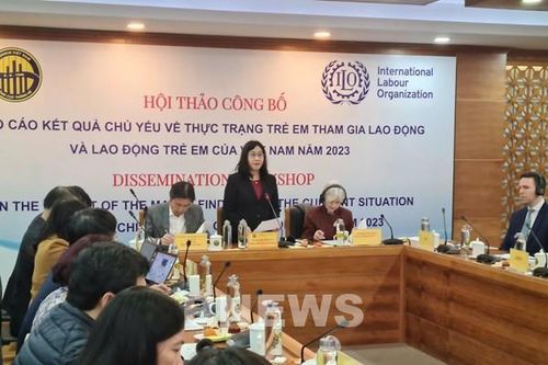 Công bố kết quả điều tra về lao động trẻ em Việt Nam