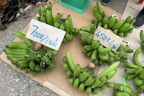 Chuối xanh cận Tết tăng giá 'đỉnh nóc' 500.000 đồng/nải, thương lái lý giải nguyên nhân