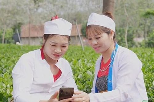 Ngân hàng Chính sách xã hội và hành trình chuyển đổi số