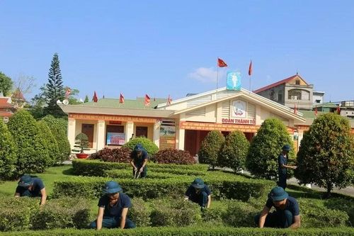 Thành phố Hải Phòng: Sắc Xuân trên 'trận địa canh trời'