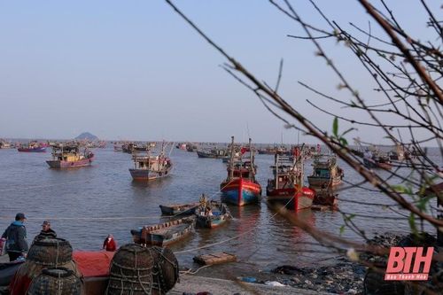 Chủ động ứng phó với đợt rét đậm, rét hại từ ngày 26/1