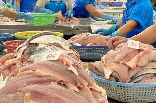 Xuất khẩu cá tra hứa hẹn sẽ chinh phục những cột mốc mới trong 2025