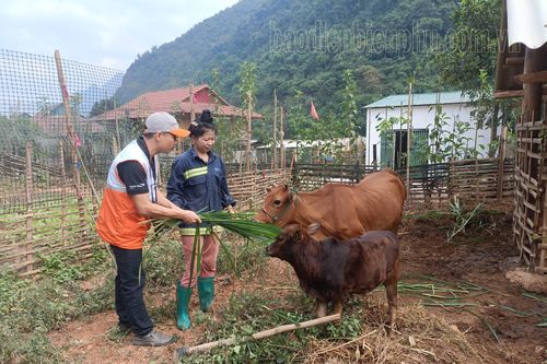 Nỗ lực vì một xã hội bình đẳng, tiến bộ