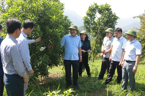 Điện Biên phát động phong trào thi đua yêu nước năm 2025