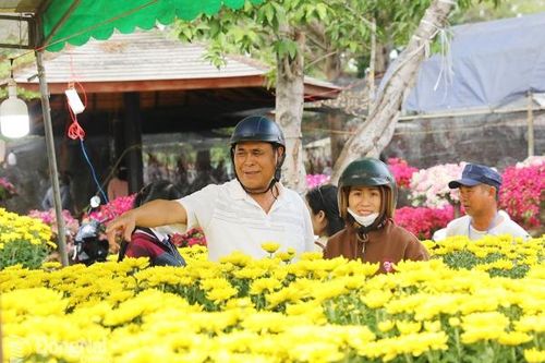 Thị trường hoa Xuân bắt đầu nhộn nhịp
