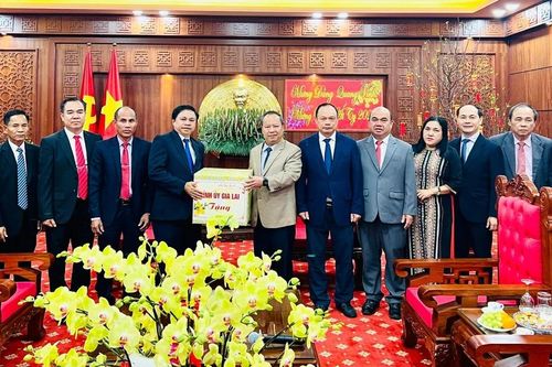 Đoàn đại biểu cấp cao tỉnh Attapeu thăm và chúc Tết tỉnh Gia Lai