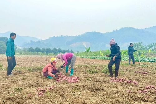 Những bãi bồi hồi sinh - cho mùa bội thu